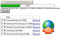 ASP.NET File Upload